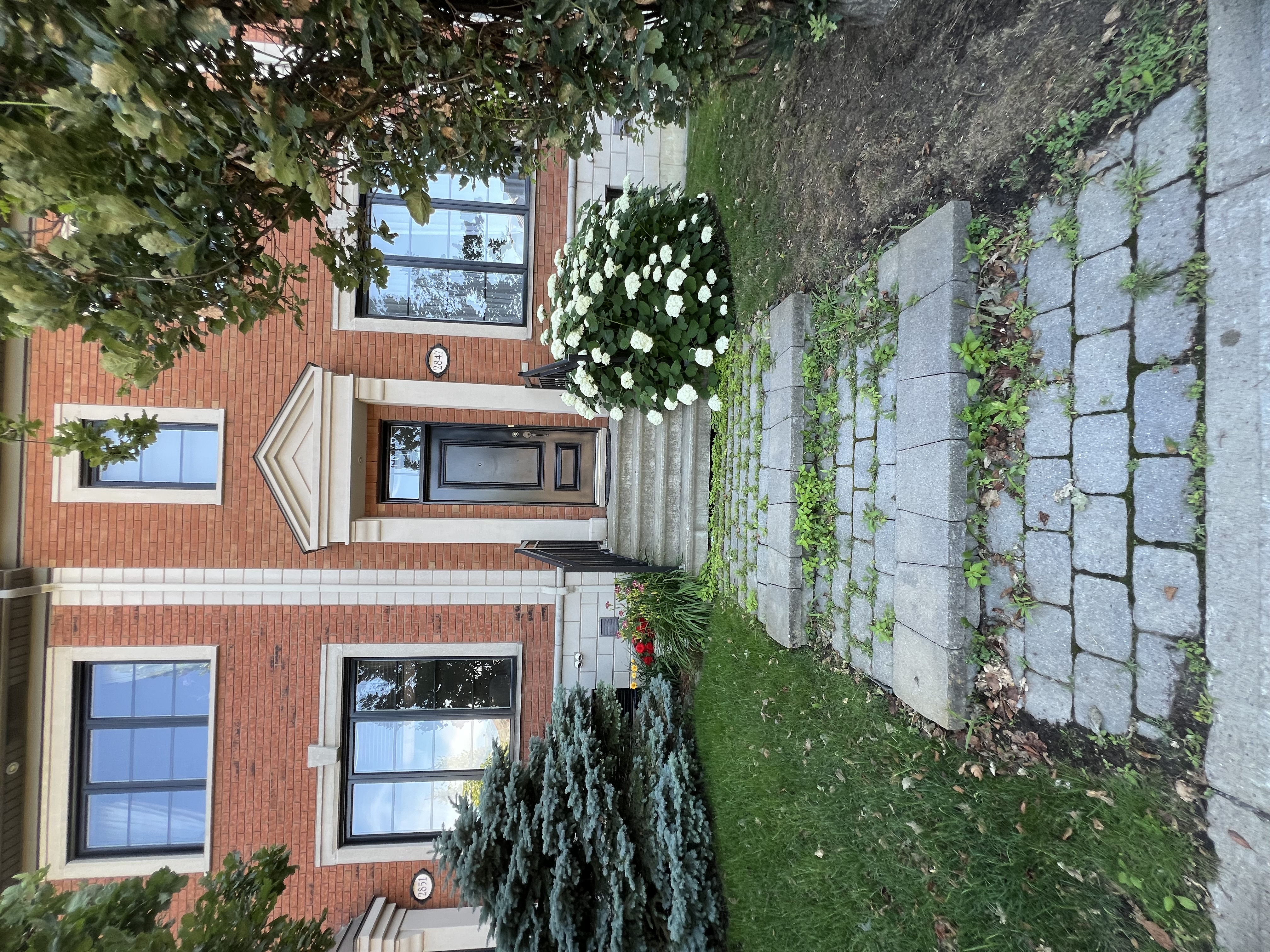Before — pressure washing